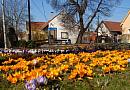 Máslovice Máslovice