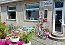 Bystrokočko - Katzencafé Bystrokočko - Katzencafé