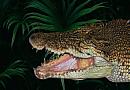 Krokodil ZOO Protivín Krokodil ZOO Protivín